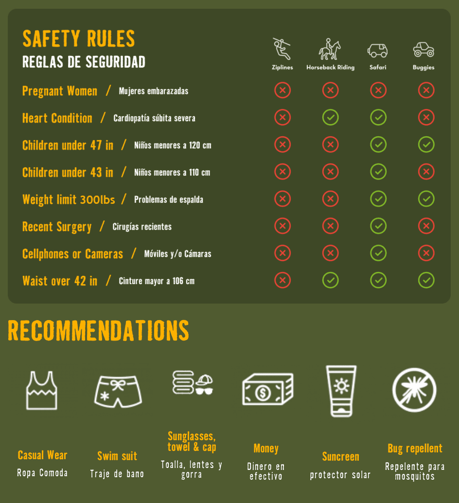 Safety and Recommendations